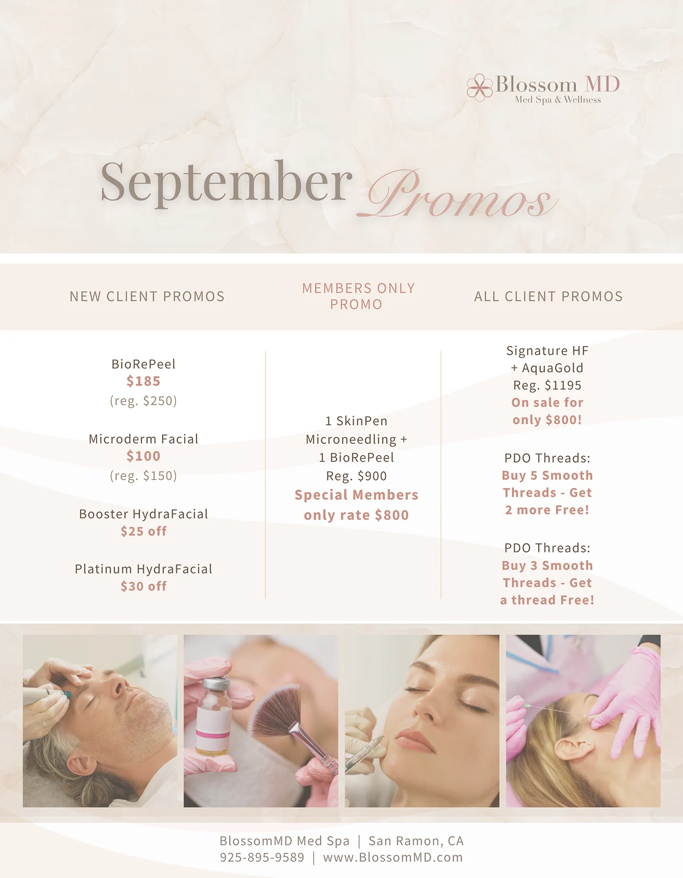 BMD Sept website graphic